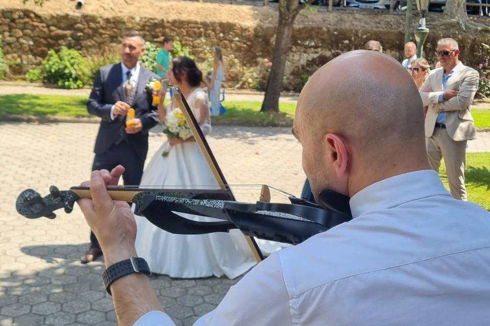 Violino