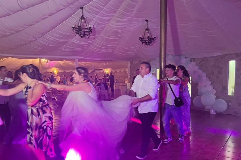 Festa e animação de casamento.