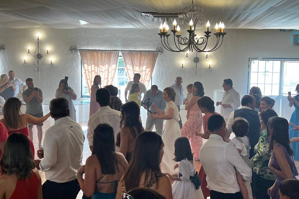 Festa animação de casamento