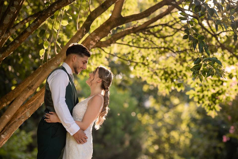 Pedro Rocha Fotografia