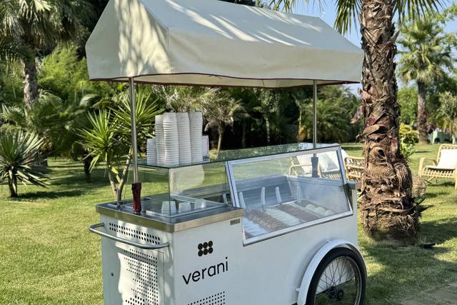 Carrinho de Gelados Artesanais