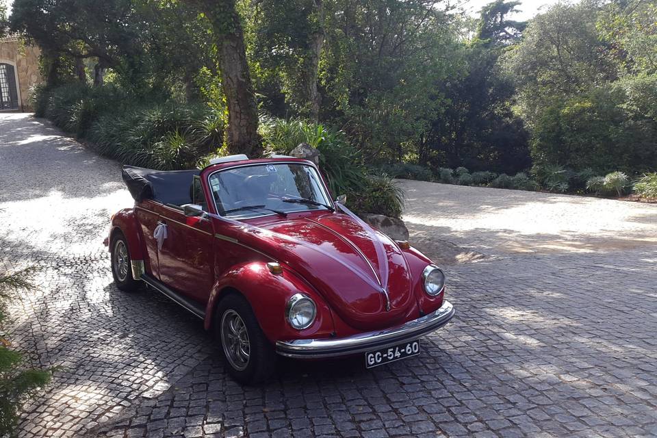 Carocha vermelho no palácio