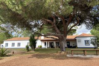 Monte do Pinheirinho