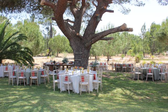 Decoração de mesas