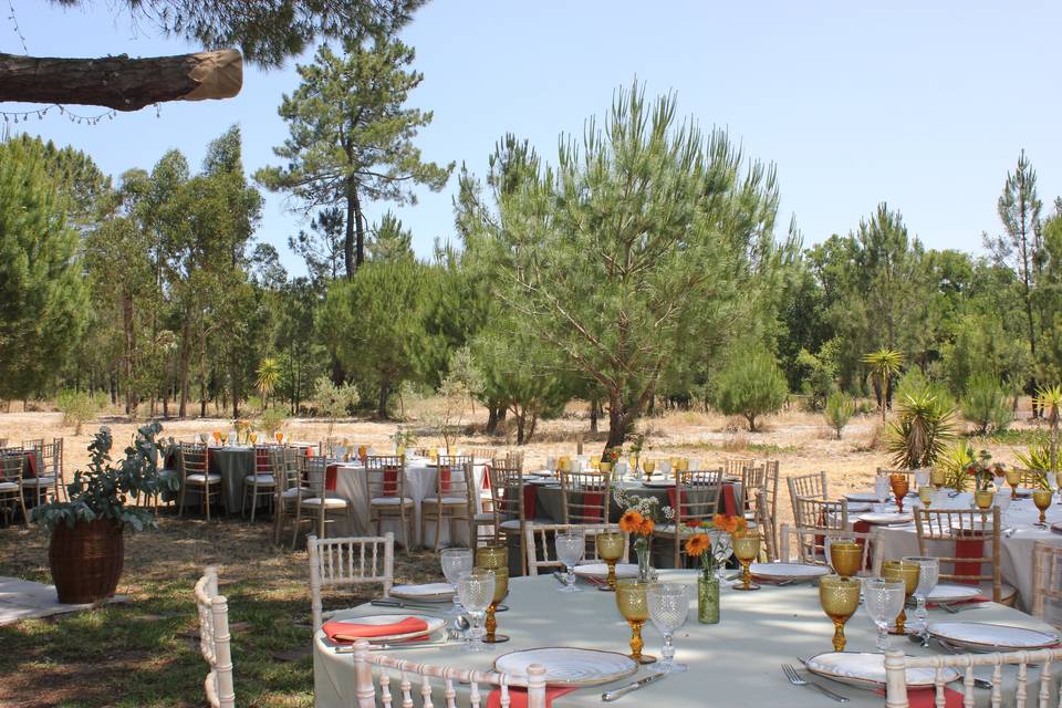 Eventos realizados