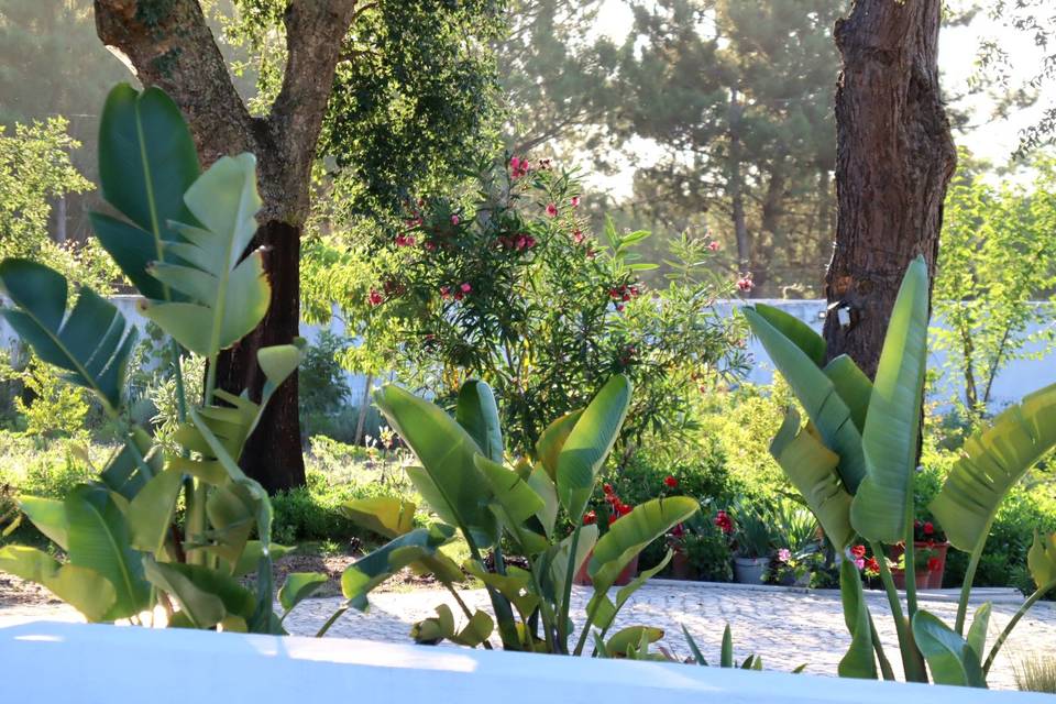 Jardim
