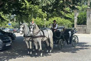 Espírito Equestre