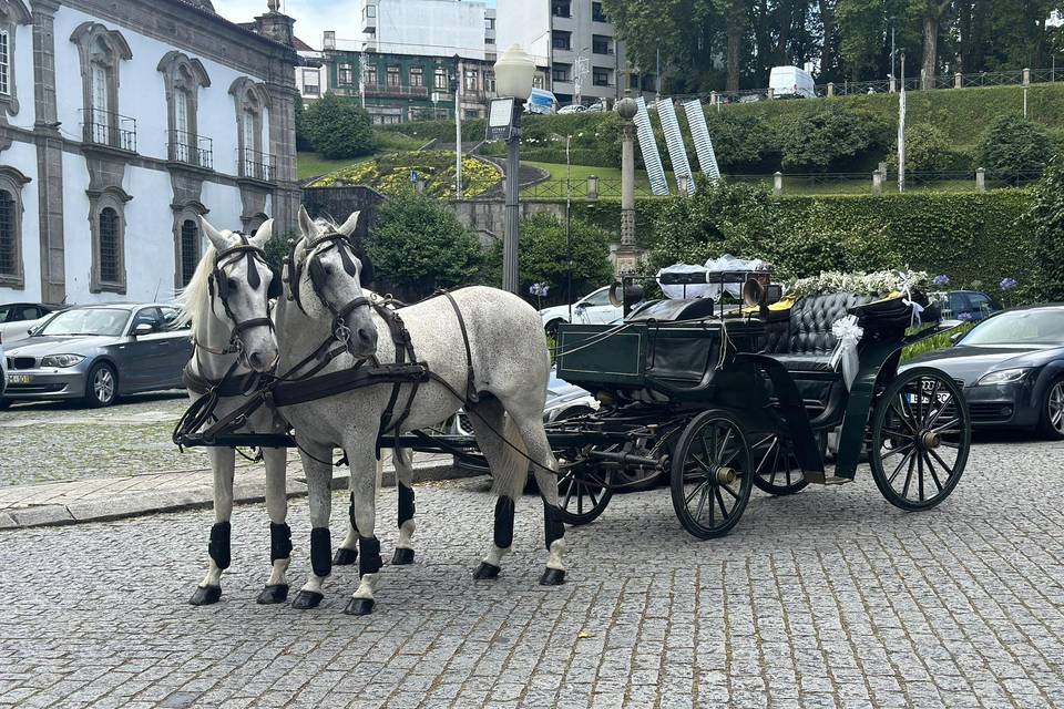 Consistência