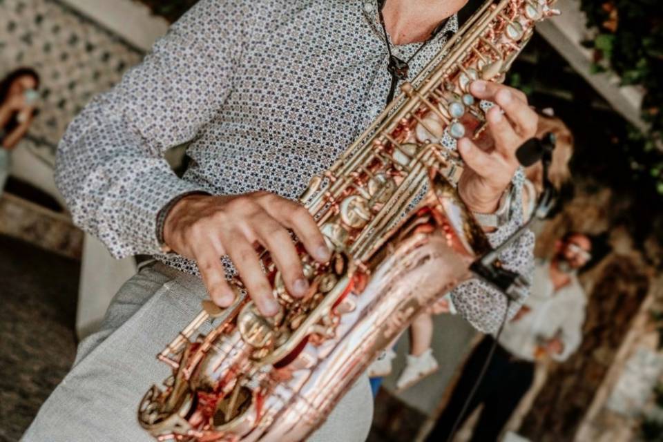 Roberto Gonçalves - Saxofonista