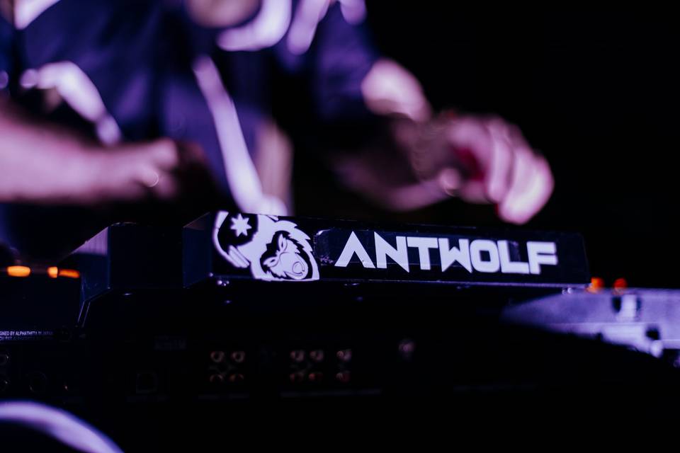 Antwolf