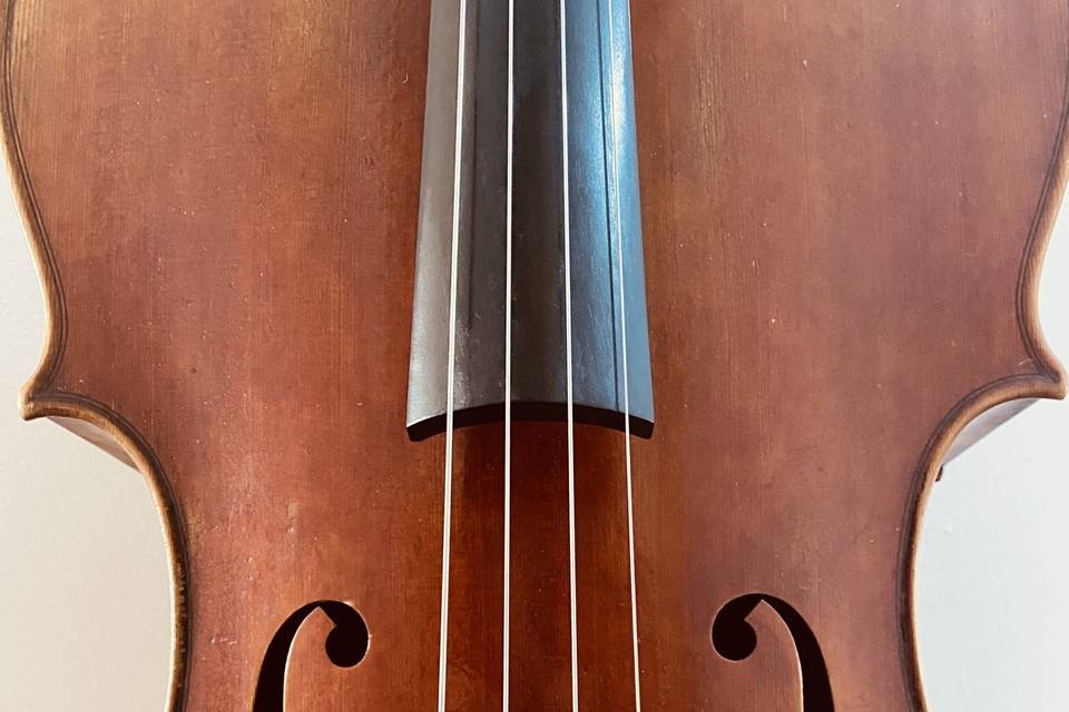 Violoncelo