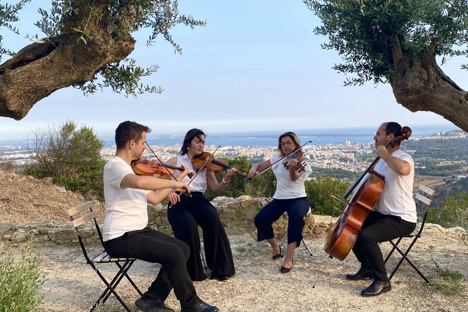 Concerto em Palmela