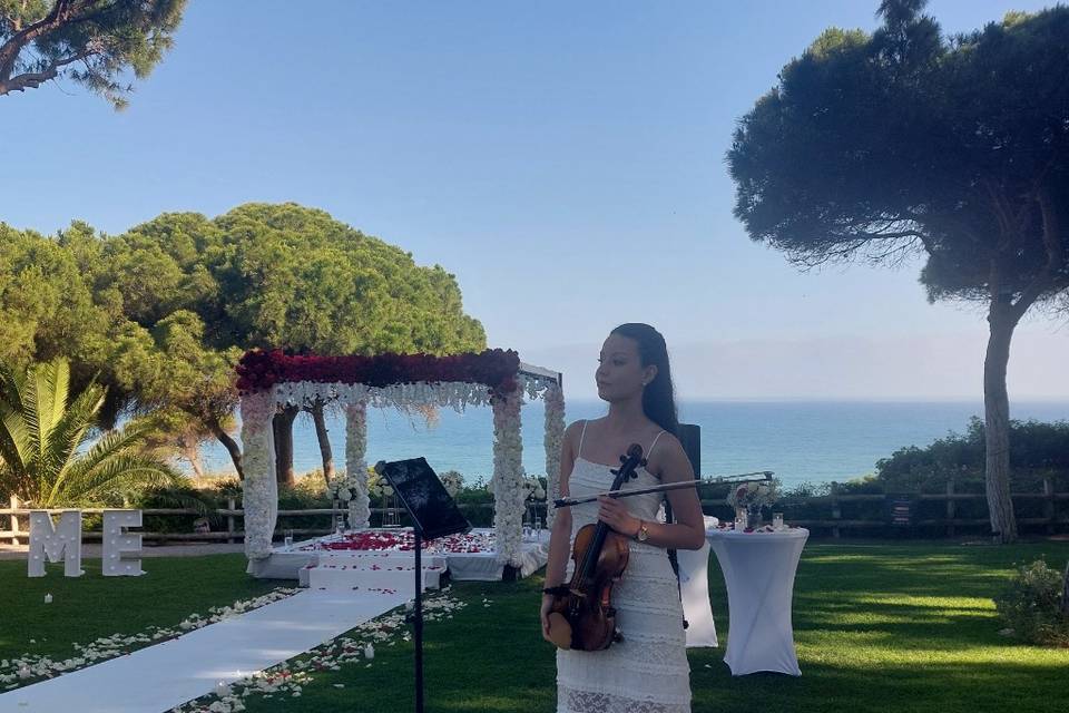 Pedidos de Casamento