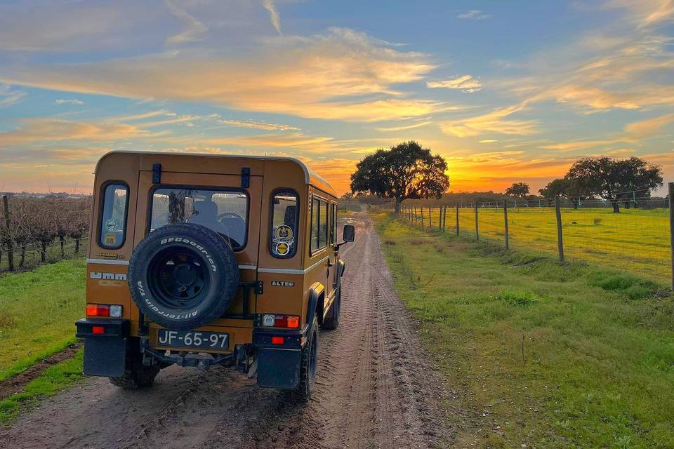 Carro vintage casamentos