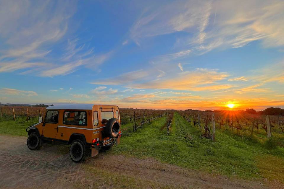 Carro casamento Alpiarça