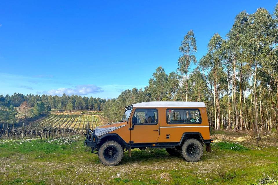 Carro casamento Santarém