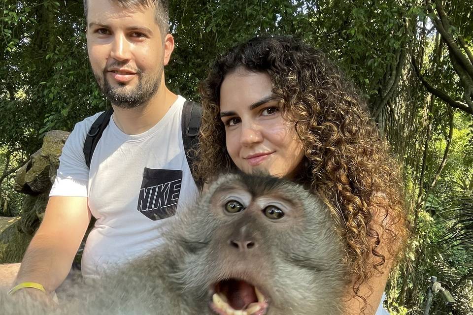 Monkey Forest