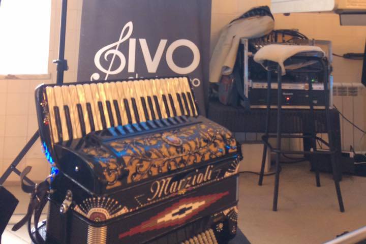 Ivo Electrónico