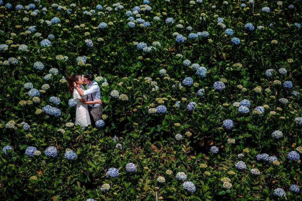 Prewedding shoot
