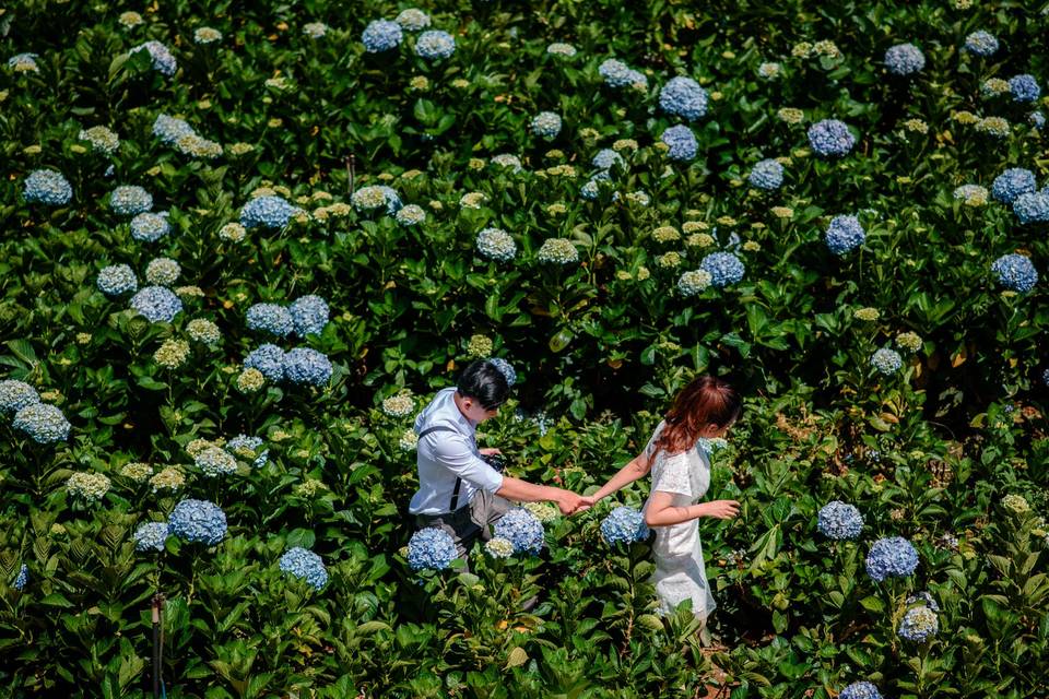 Prewedding shoot