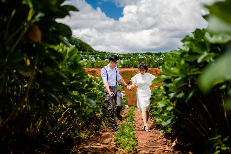 Prewedding shoot