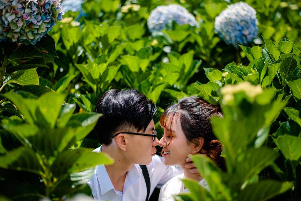 Prewedding shoot