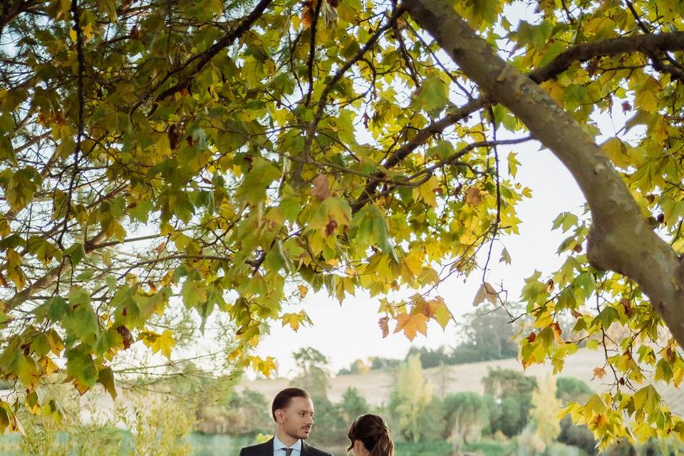 Mariana Tomaz Photography