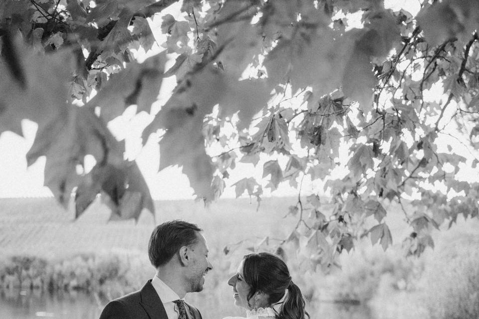 Mariana Tomaz Photography