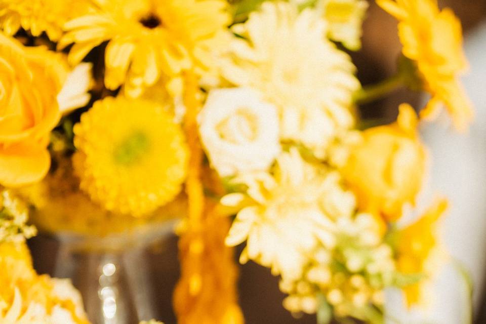 Mariana Tomaz Photography