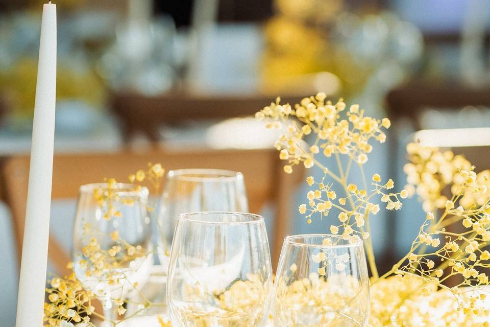 Mariana Tomaz Photography