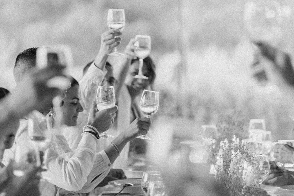 Mariana Tomaz Photography