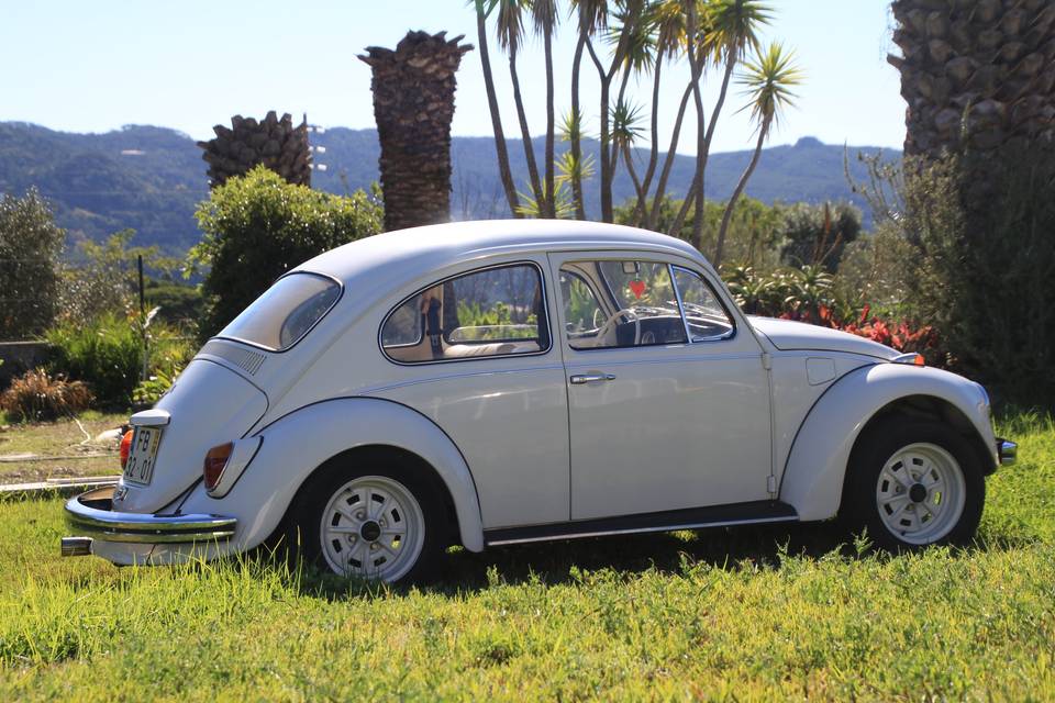 Vw beetle sw1300l de 1970