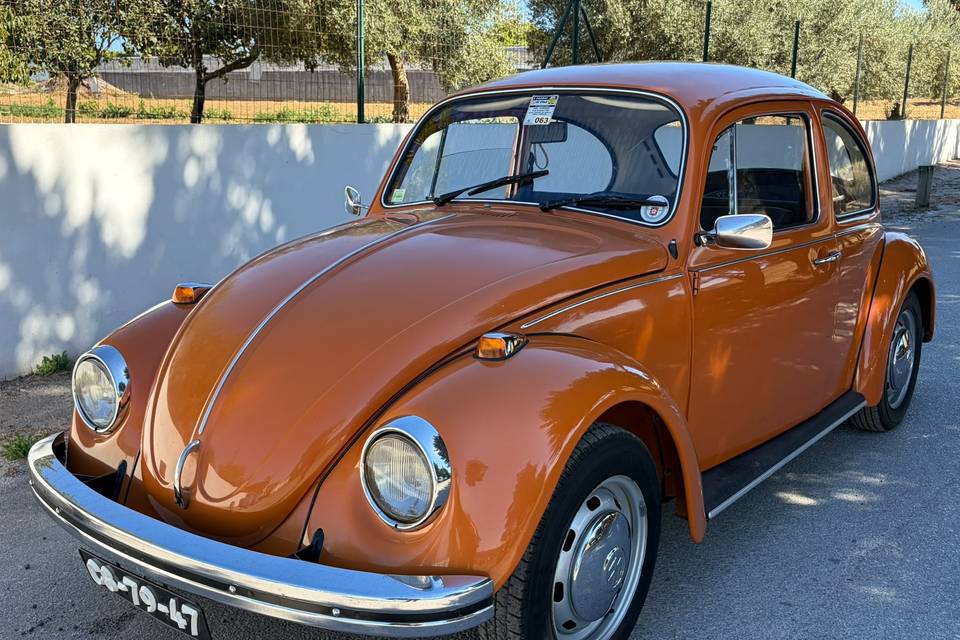 VW Carocha