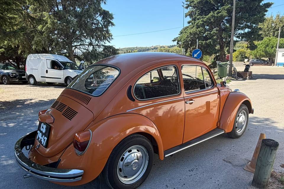 VW Carocha