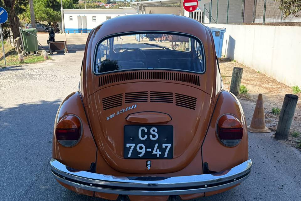 VW Carocha