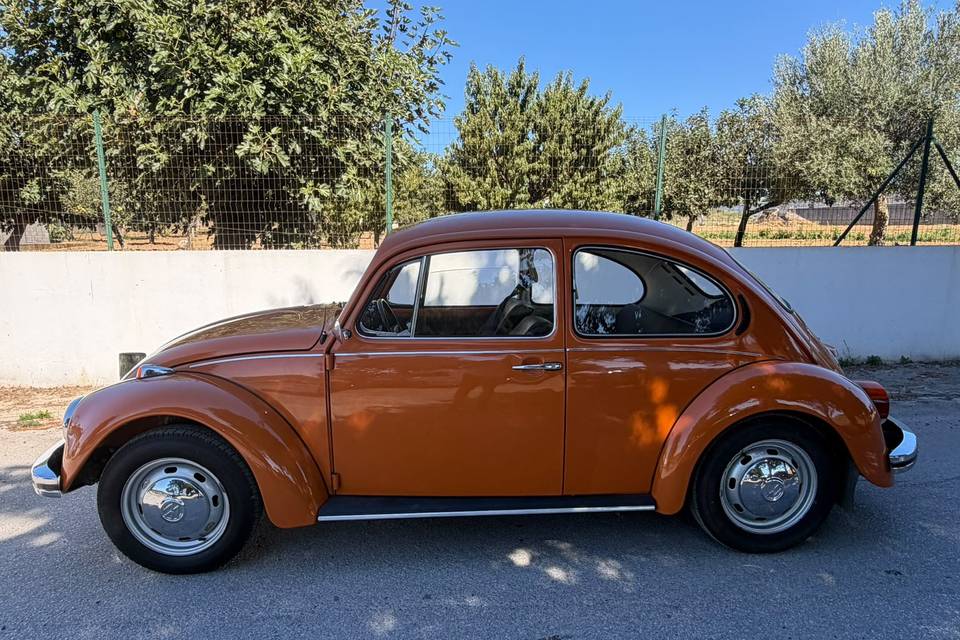VW Carocha
