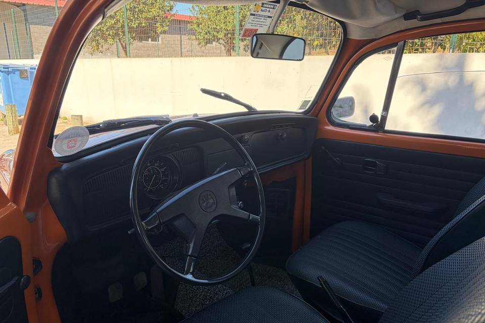 VW Carocha