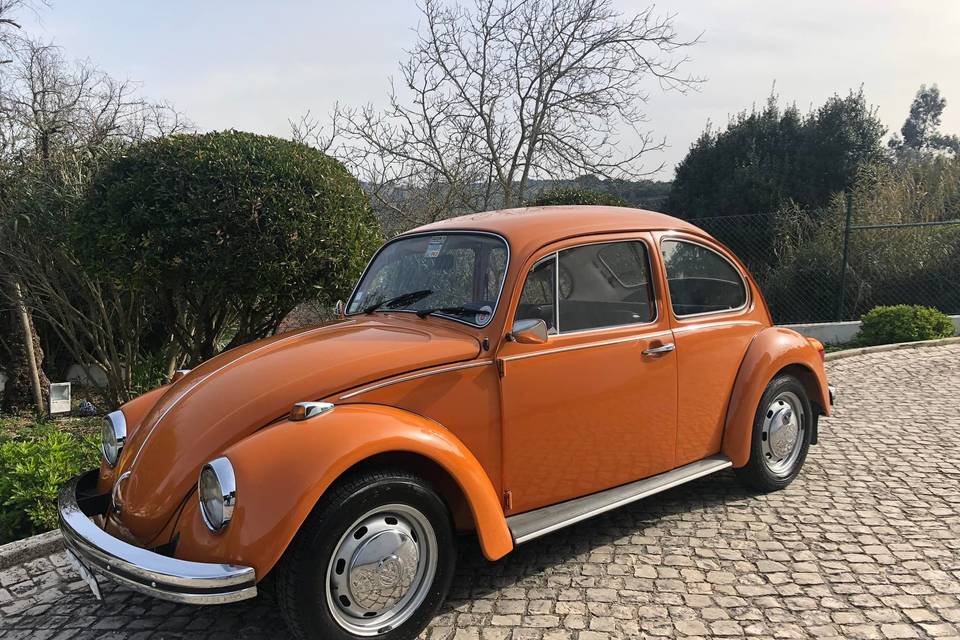 Horas Rolantes - Mobilidade e Eventos