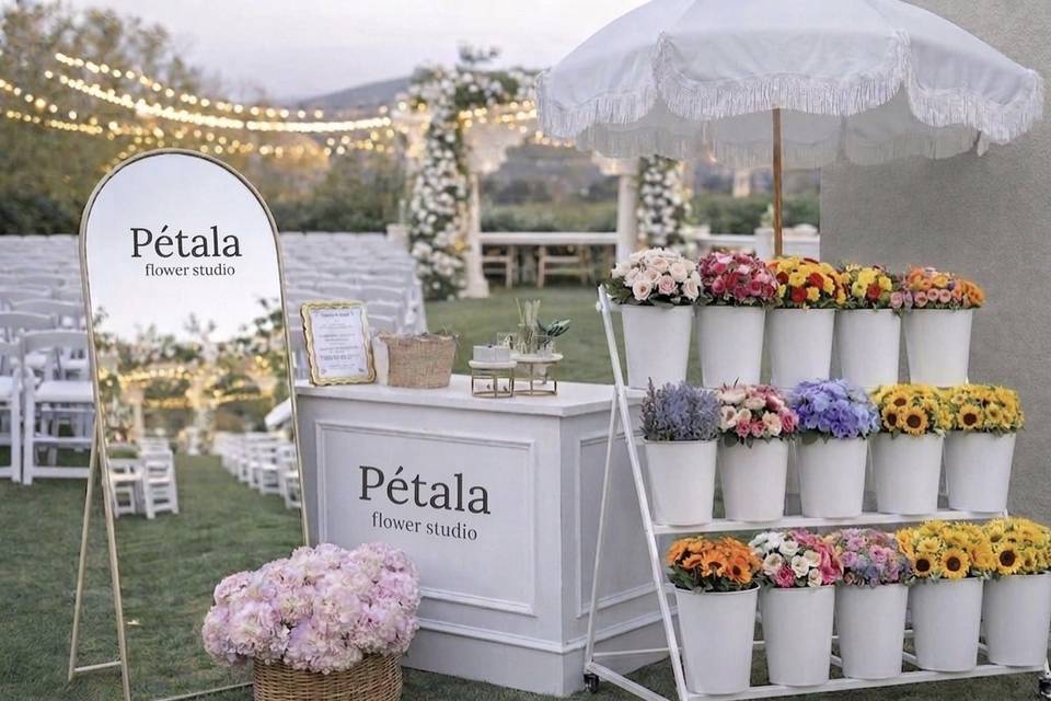 Pétala Flower Studio