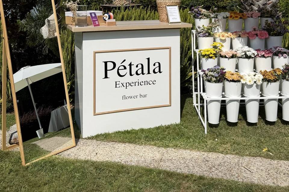 Stand Pétala Experience