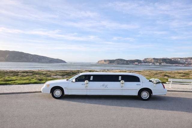 Dario - Summer Expectations