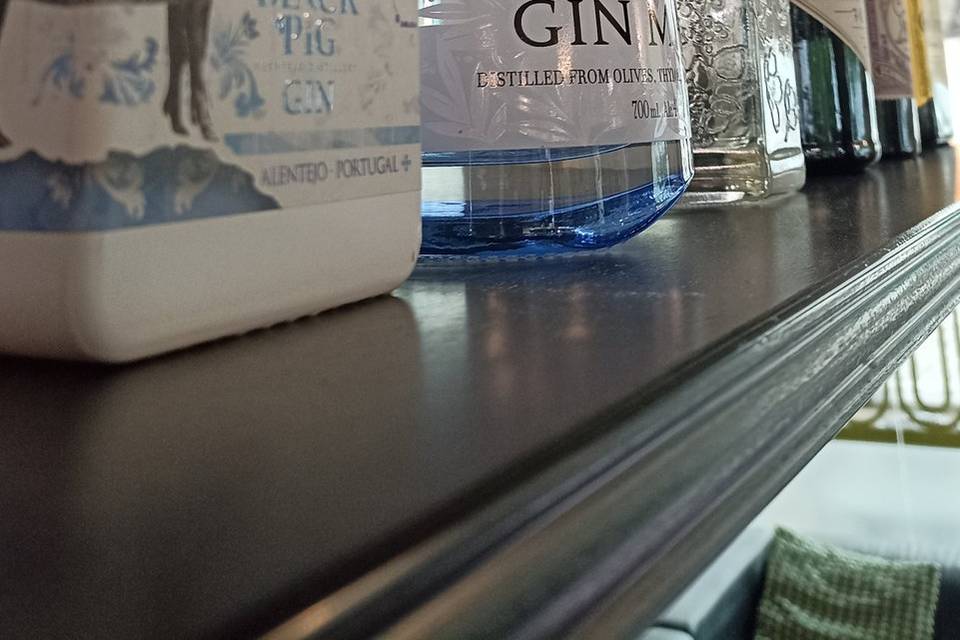 Gins para todos os gostos