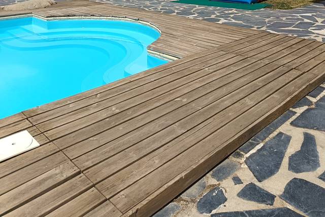 Pulguinha Kids Events