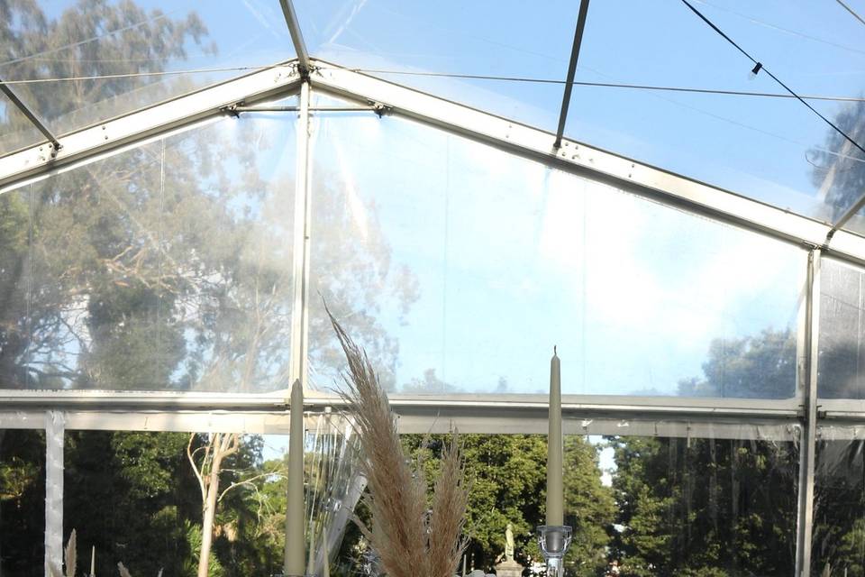 A tenda na estufa
