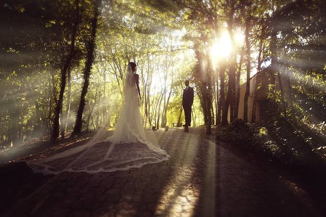 Paulo Nunes Photography