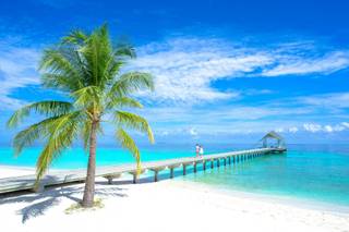 Media Travel & Logistics