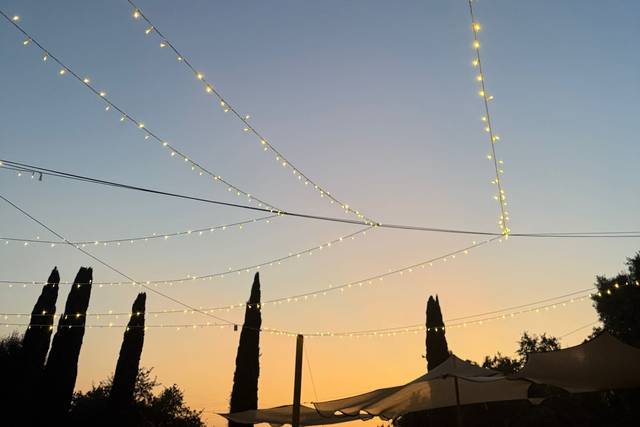 Sky Lights