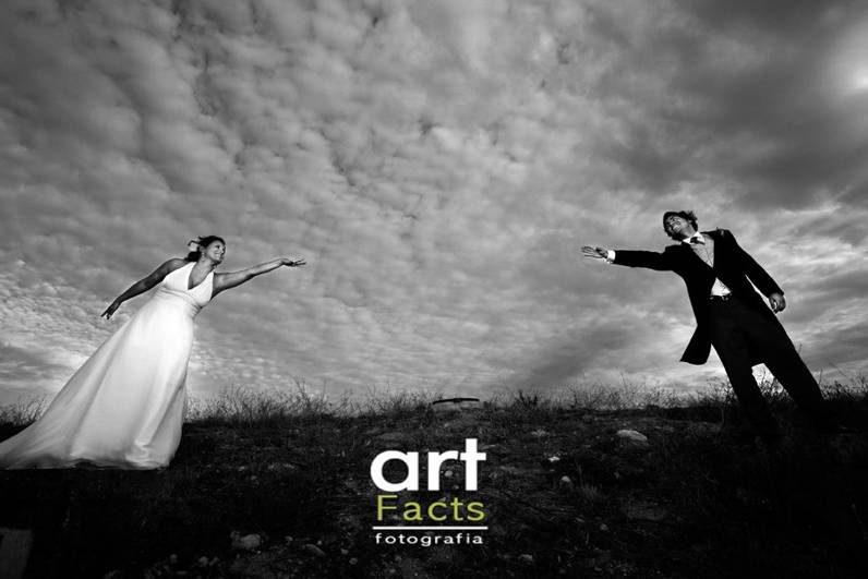 ArtFacts Photography©