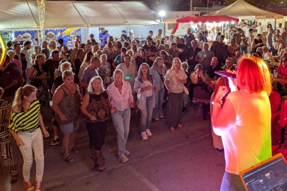 Festa do Afonsoeiro 2026 (1)