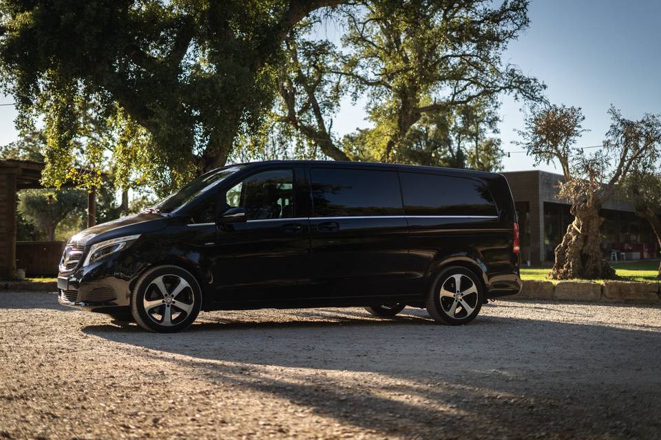 Mercedes- Benz V 8 Lugares